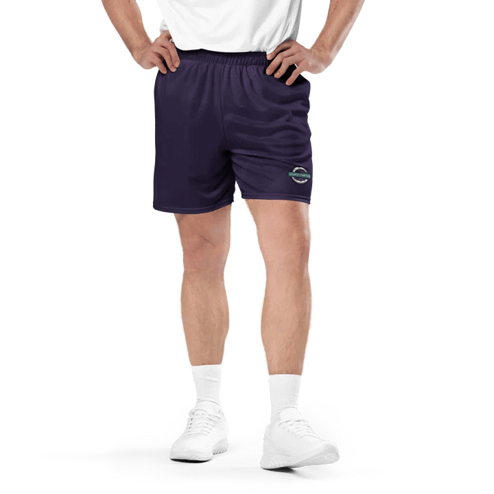Logo Mesh Shorts product image (1)