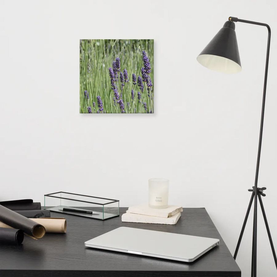 Field of Lavender product image (11)