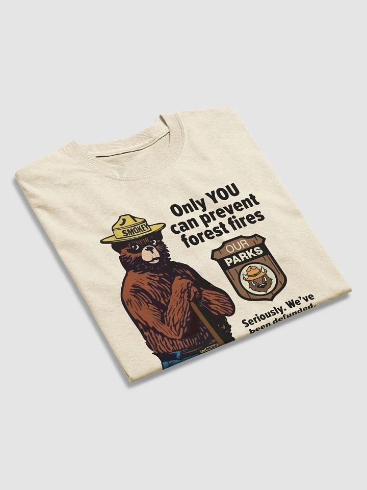 We've been DEFUNDED Smokey Our Parks Bear Heavyweight Alt National Parks T-Shirt product image (2)