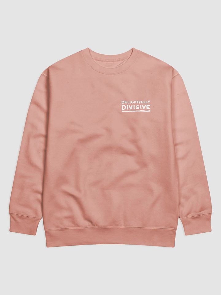 DELIGHTFULLY DIVISIVE (sm. white design) printed cotton crewneck product image (5)