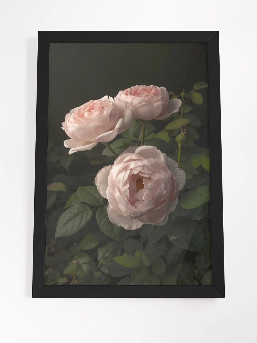 Trio of Roses product image (3)