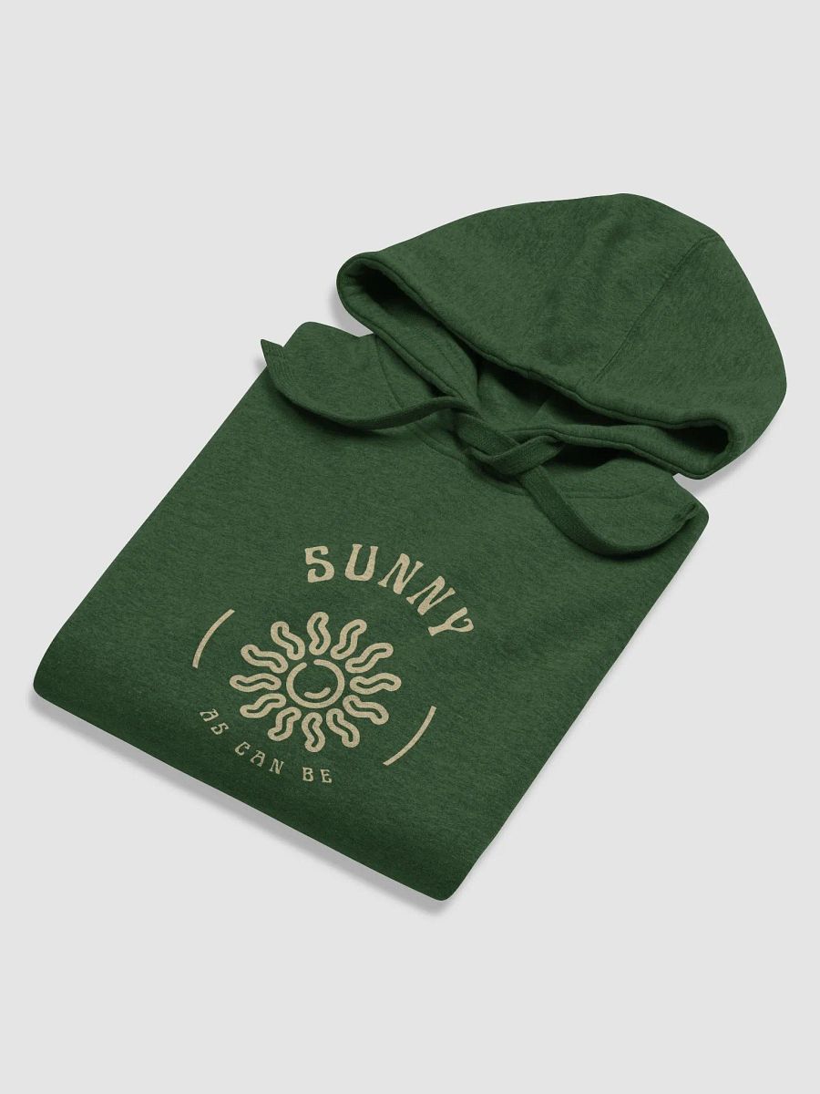 Sunny as can be plush hoodie product image (84)