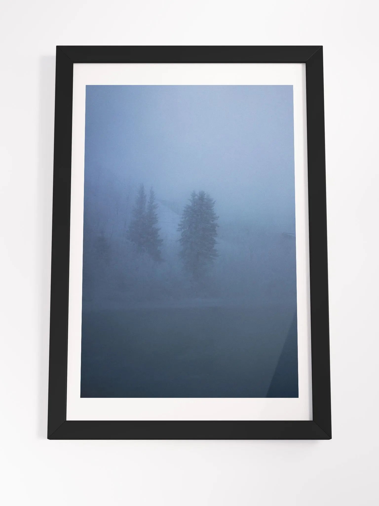 Foggy Trees product image (4)