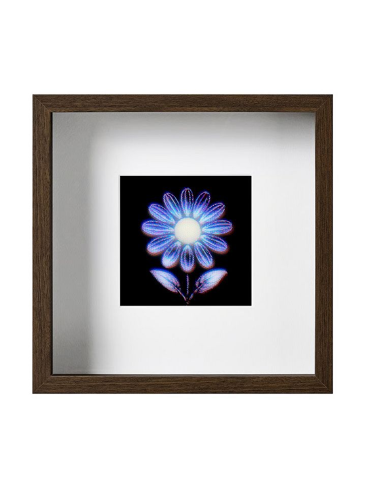 Signal Daisy – Framed Edition of 10 product image (1)