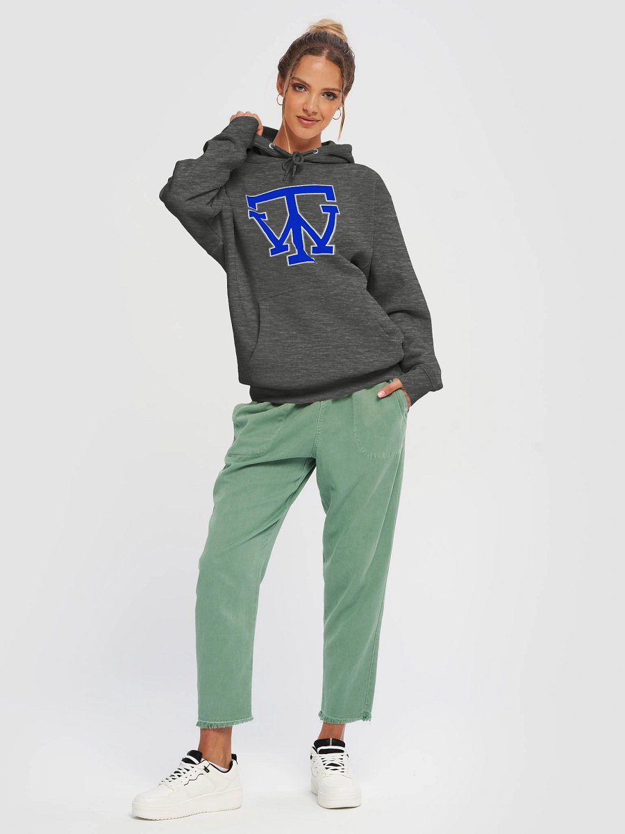 TW Logo Hoodie product image (3)