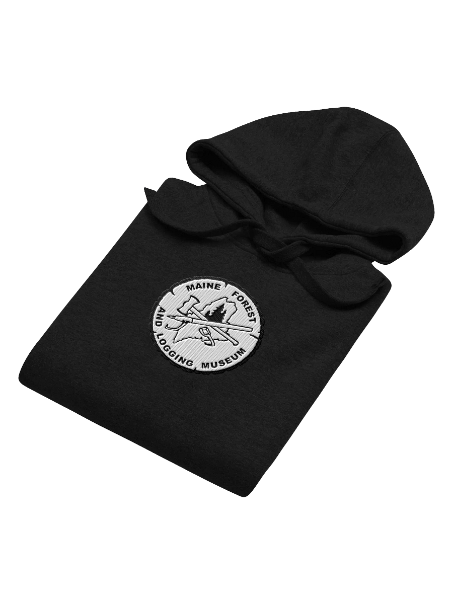 MFLM Embroidered Hoodie product image (27)