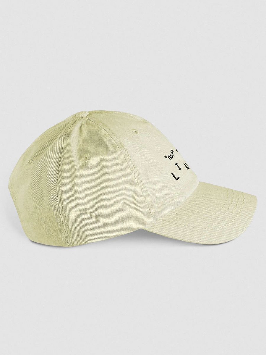 *not* mentally linear pastel dad hat product image (4)