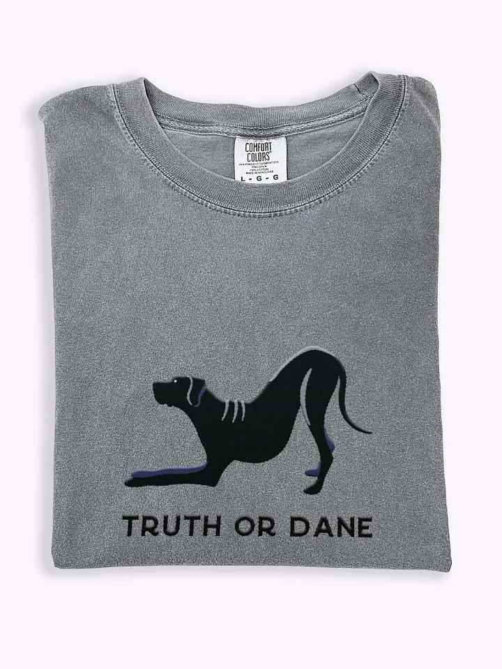 Truth or Dane T-Shirt(Embroidered) of a Great Dane(Black) product image (1)