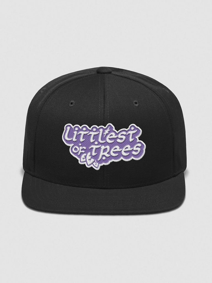 words but a snapback product image (1)
