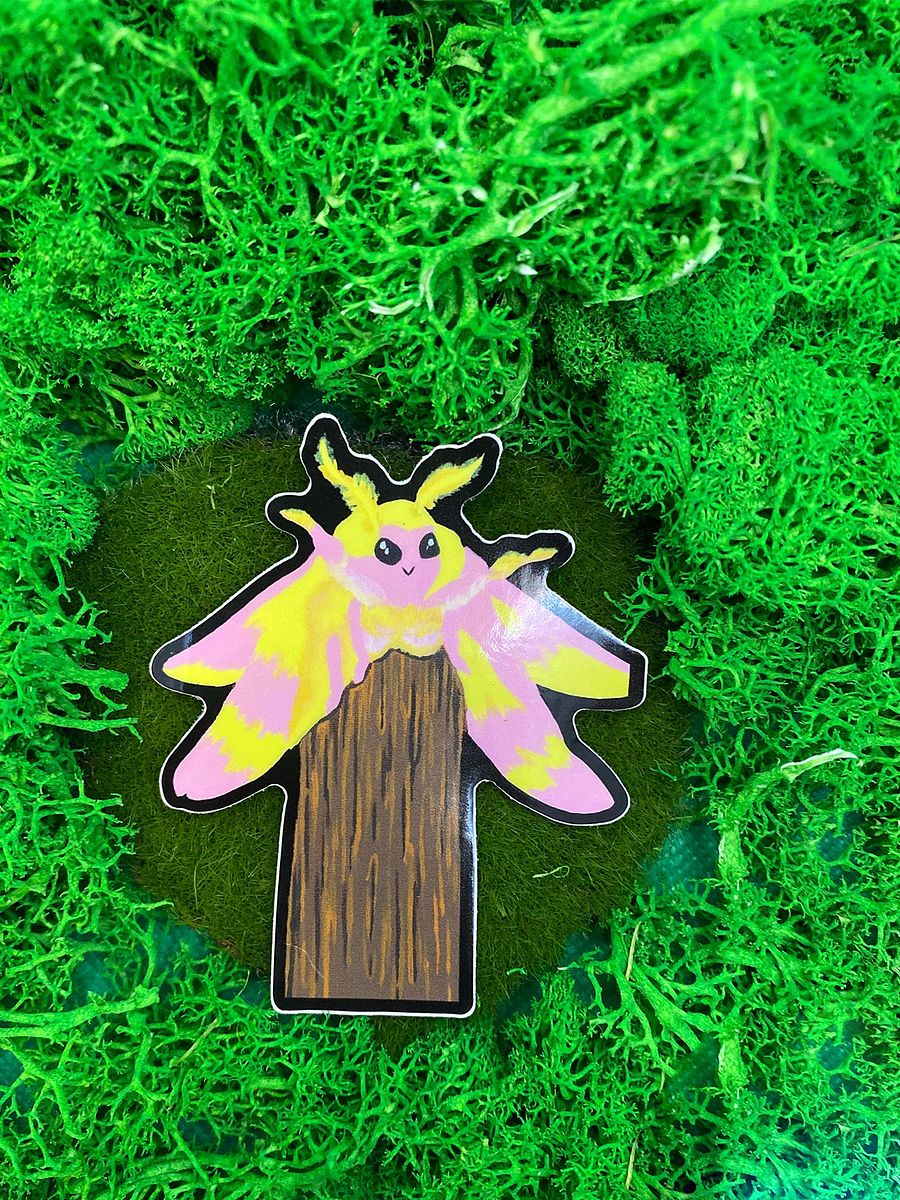 Maple Moth product image (1)