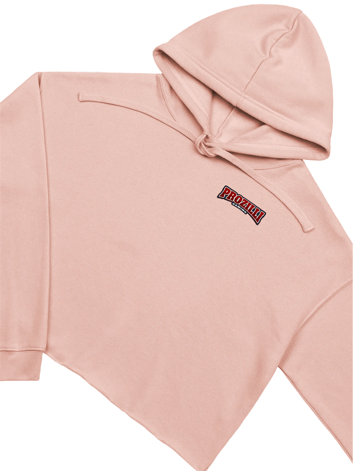 Prozilli Gaming Women's Fleece Crop Hoodie – Cozy & Stylish Gamer Apparel product image (2)