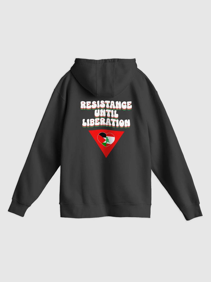 Resist Hoodie product image (2)