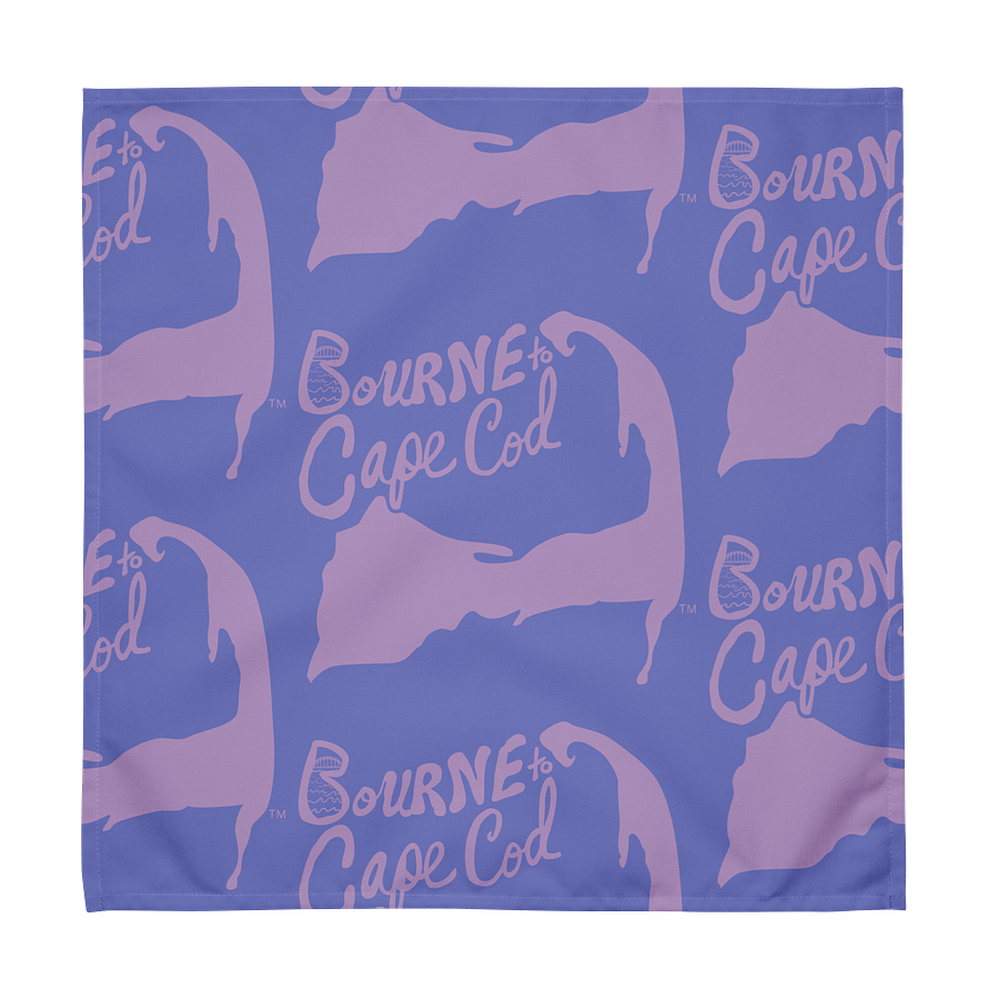 🌀BOURNE to Cape Cod™ | Logo Print Cloth Napkin Set (4) | Coastal Dining Essentials | Multi-Colored product image (9)