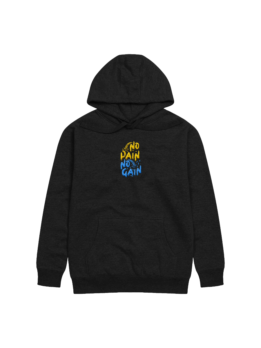No Pain No Gain! Center Embroidered Hoodie product image (1)