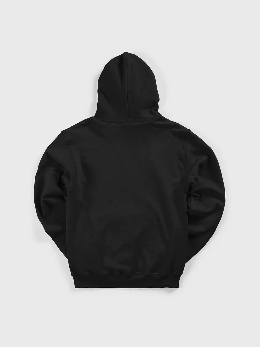 Rare DGR Logo Hoodie - Black product image (3)