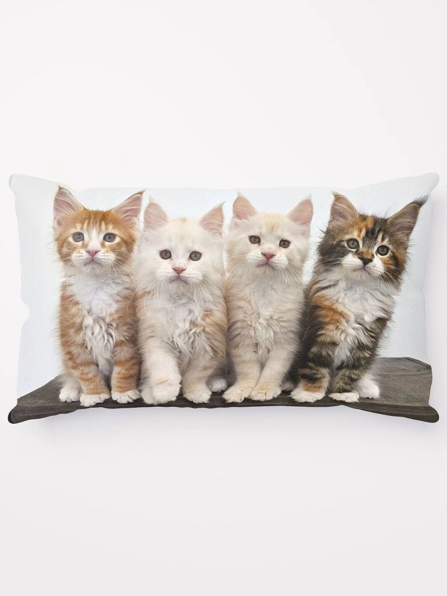 Ada's Kittens - Pillow product image (5)