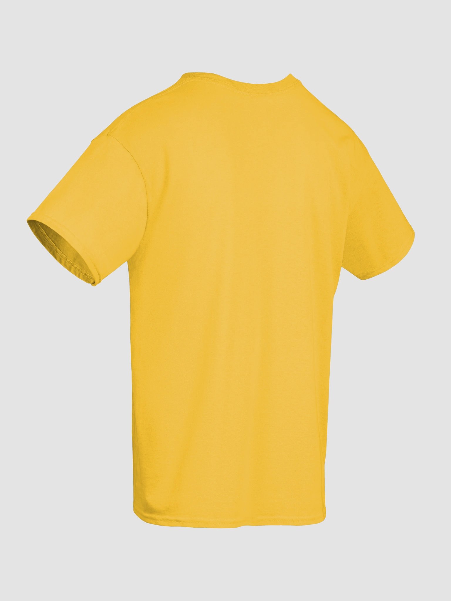 Vegetarian & Vegan Vibes T-Shirt product image (10)