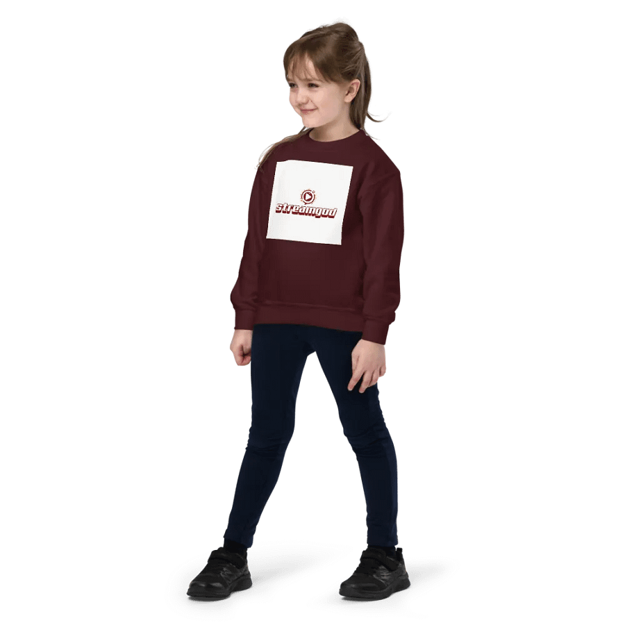 maroon youth STREAMGOD sweater product image (4)