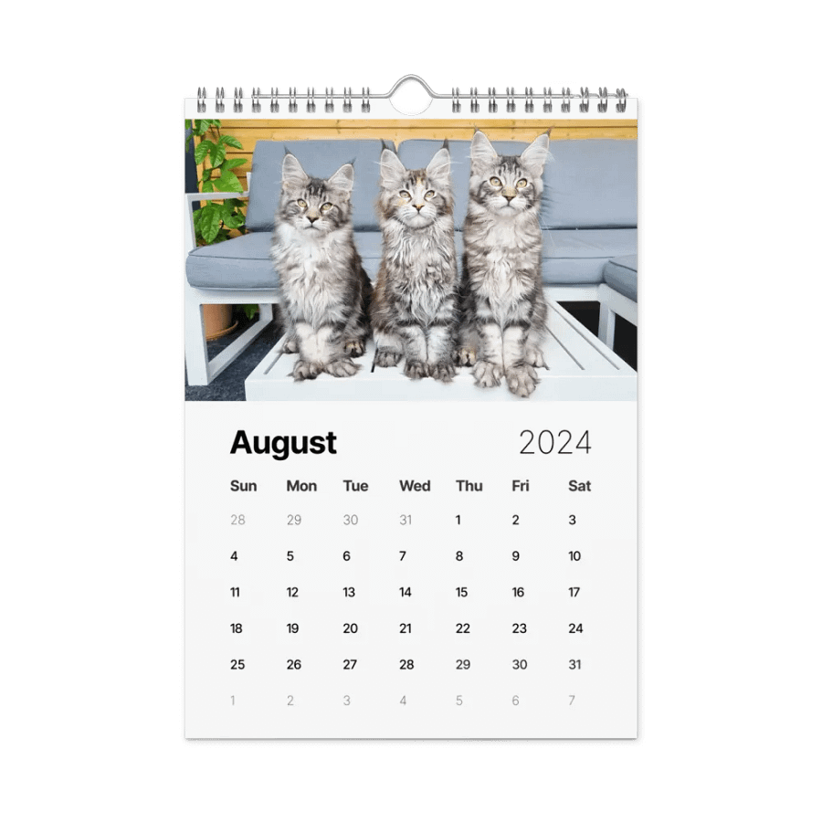 2024 Calendar - Adventures with Maine Coons product image (3)