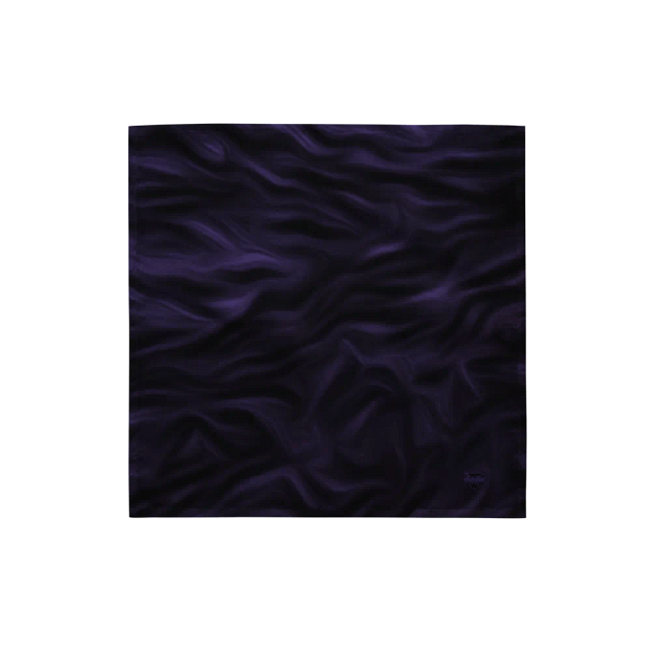 The Collective's Simple Branded Bandana product image (1)