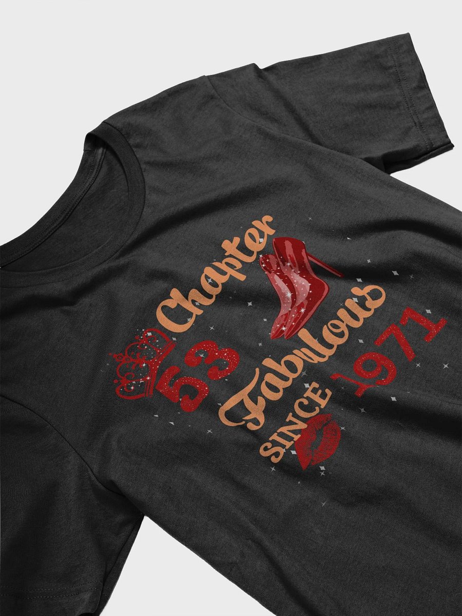 Chapter 53 Fabulous Since 1971 53rd Birthday Gift T-Shirt product image (3)