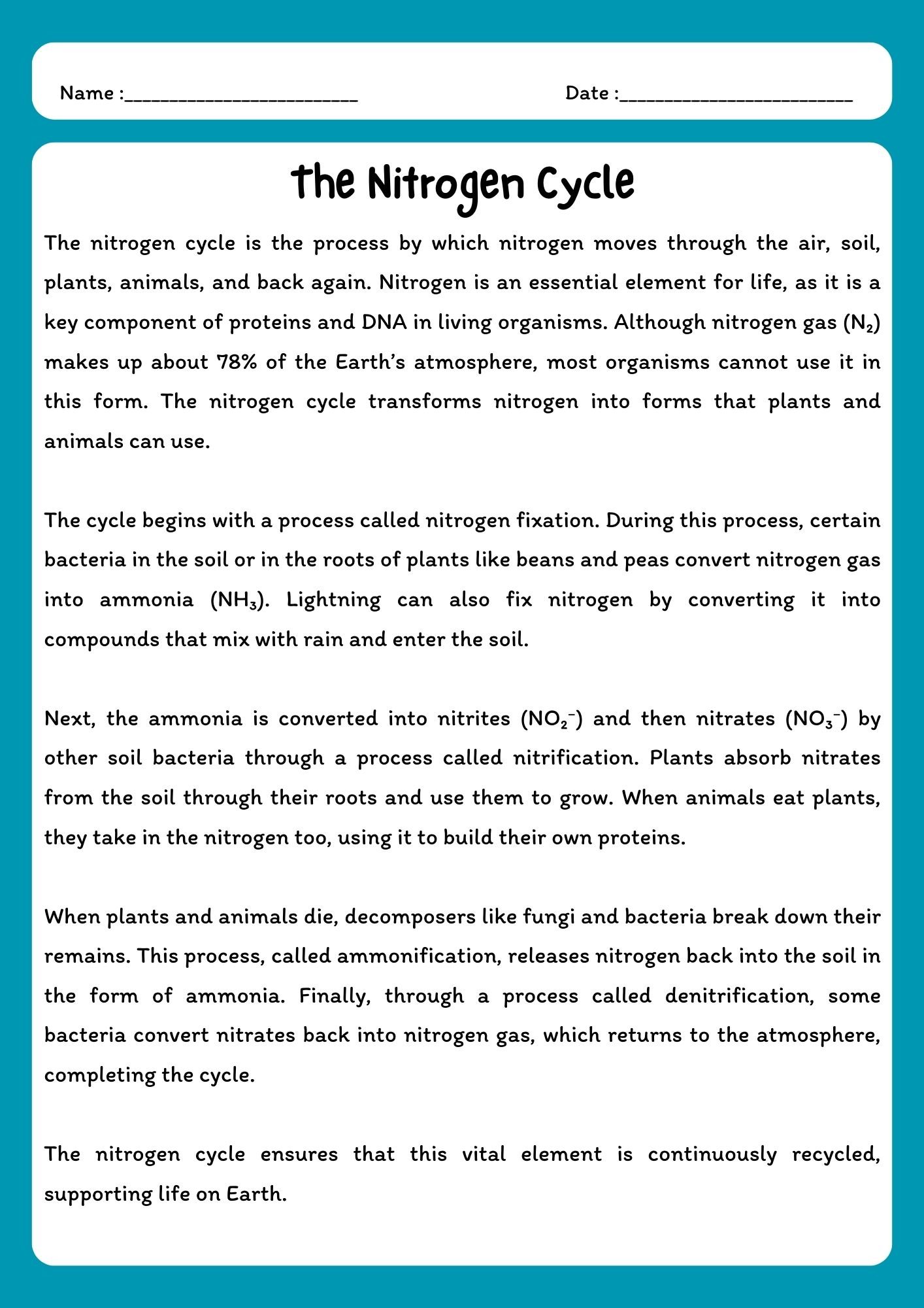 Nitrogen Cycle Reading Comprehension Passage & Questions product image (1)