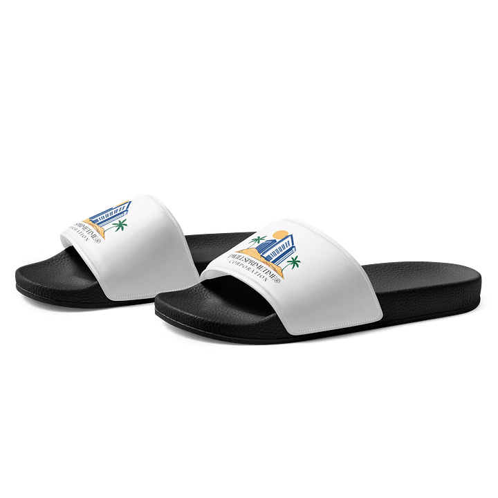 Dwillsprimetime Corporation Men's Slides product image (2)