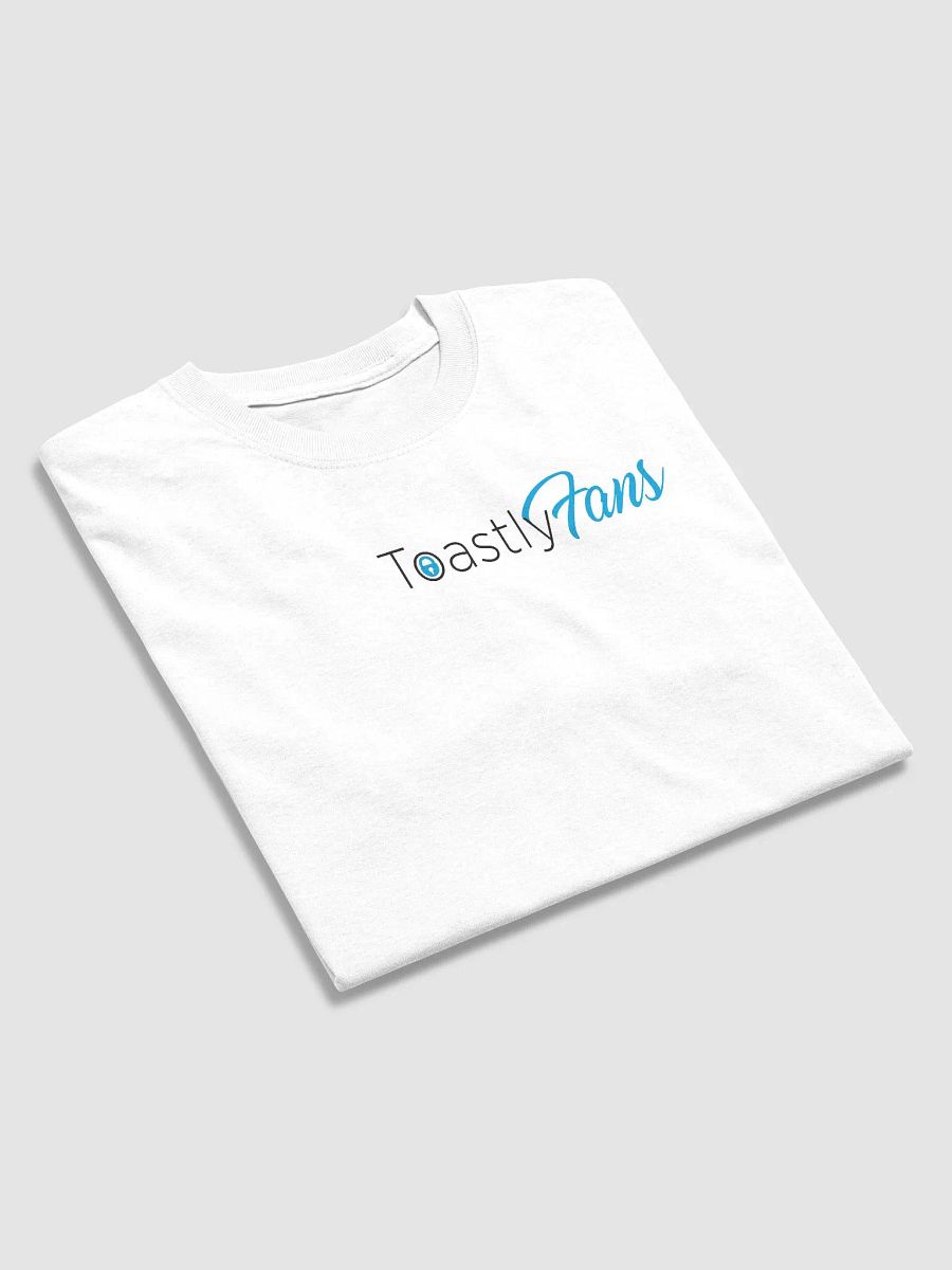 ToastlyFans Gildian Heavy Cotton Tee product image (47)