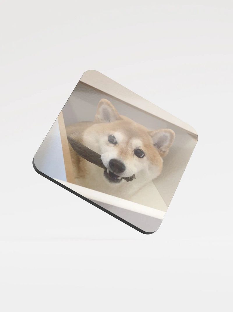 Knife Wielding Shibe Coaster
