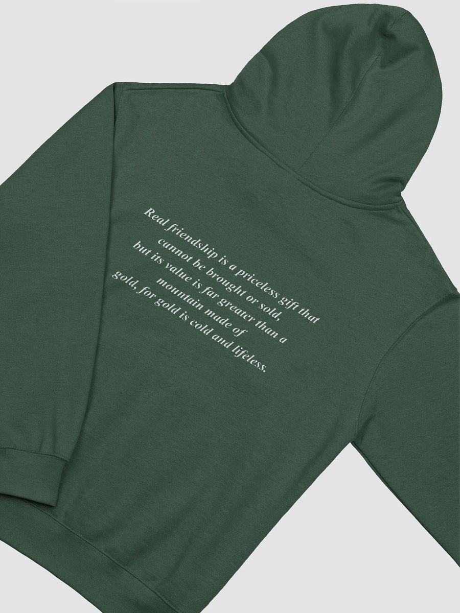 TLG + FRIENDSHIP Midweight Hoodie product image (28)