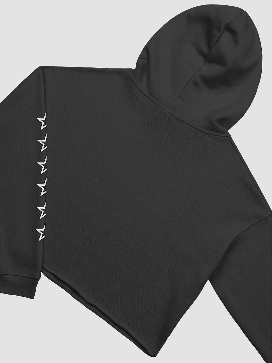 2022 Icon Crop Hoodie product image (4)