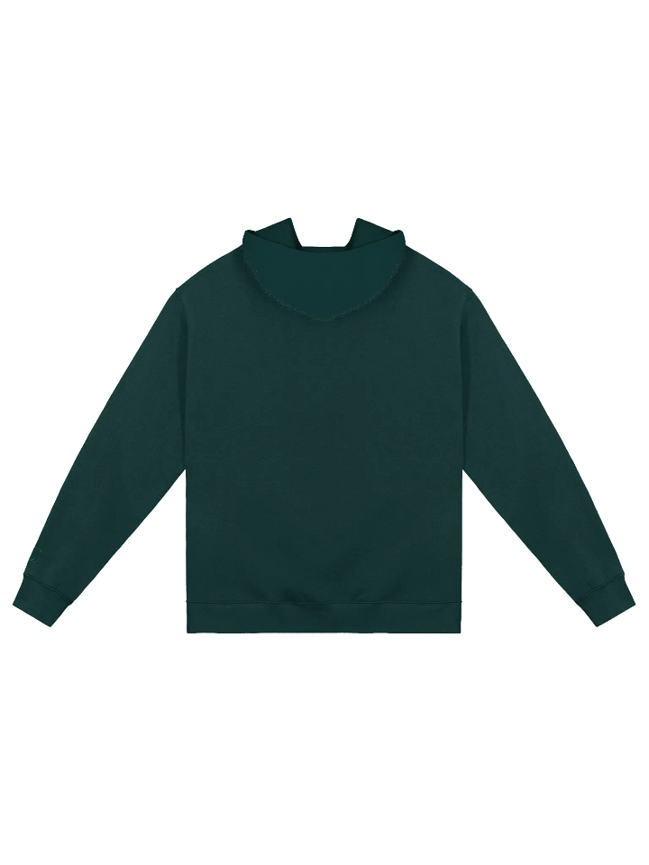 Unisex Premium Oversized Hoodie (Green) product image (2)