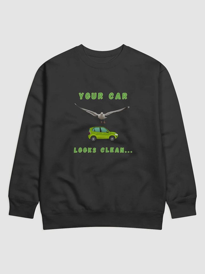 Your Car Looks Clean Seagull with Green Car Sweatshirt product image (2)