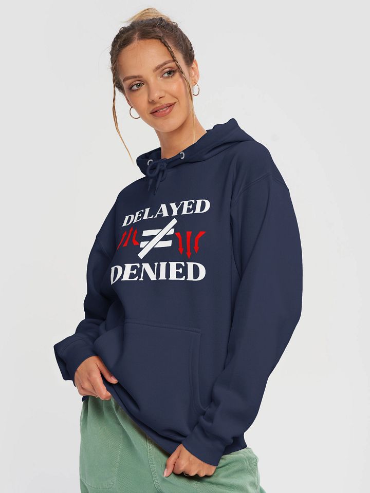 Delayed Not Denied Lane Seven Premium Pullover Hoodie. product image (1)