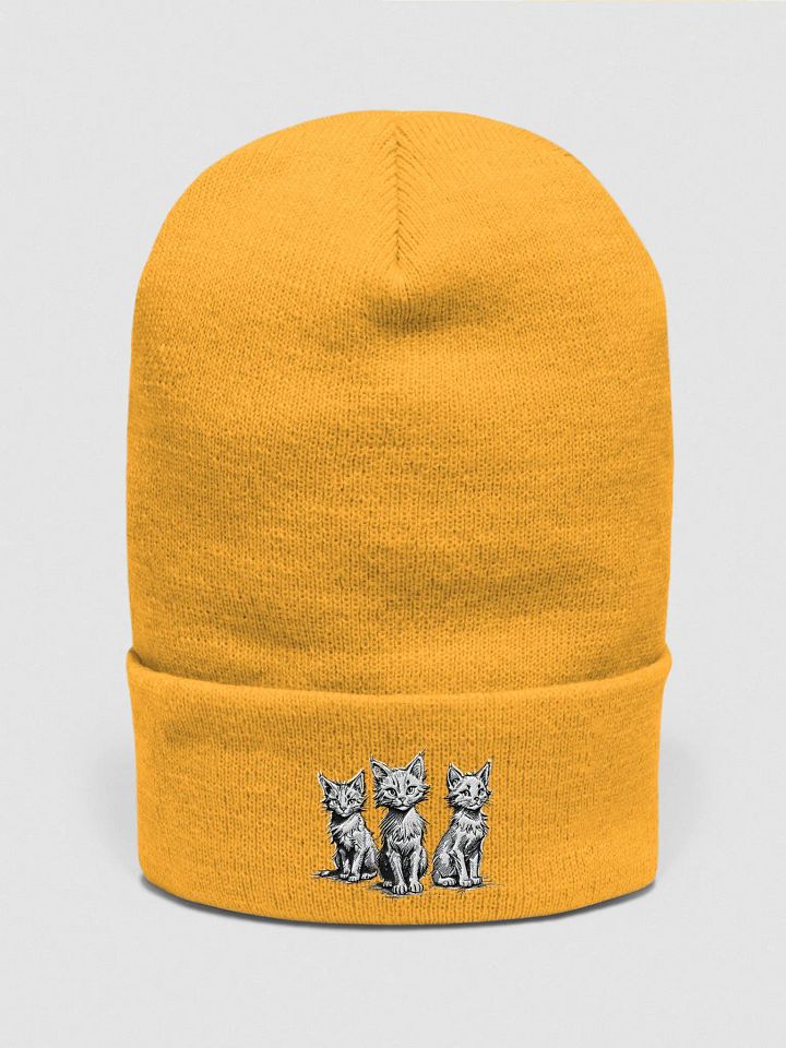 Wild and Free Collection Embroidered Beanie product image (1)
