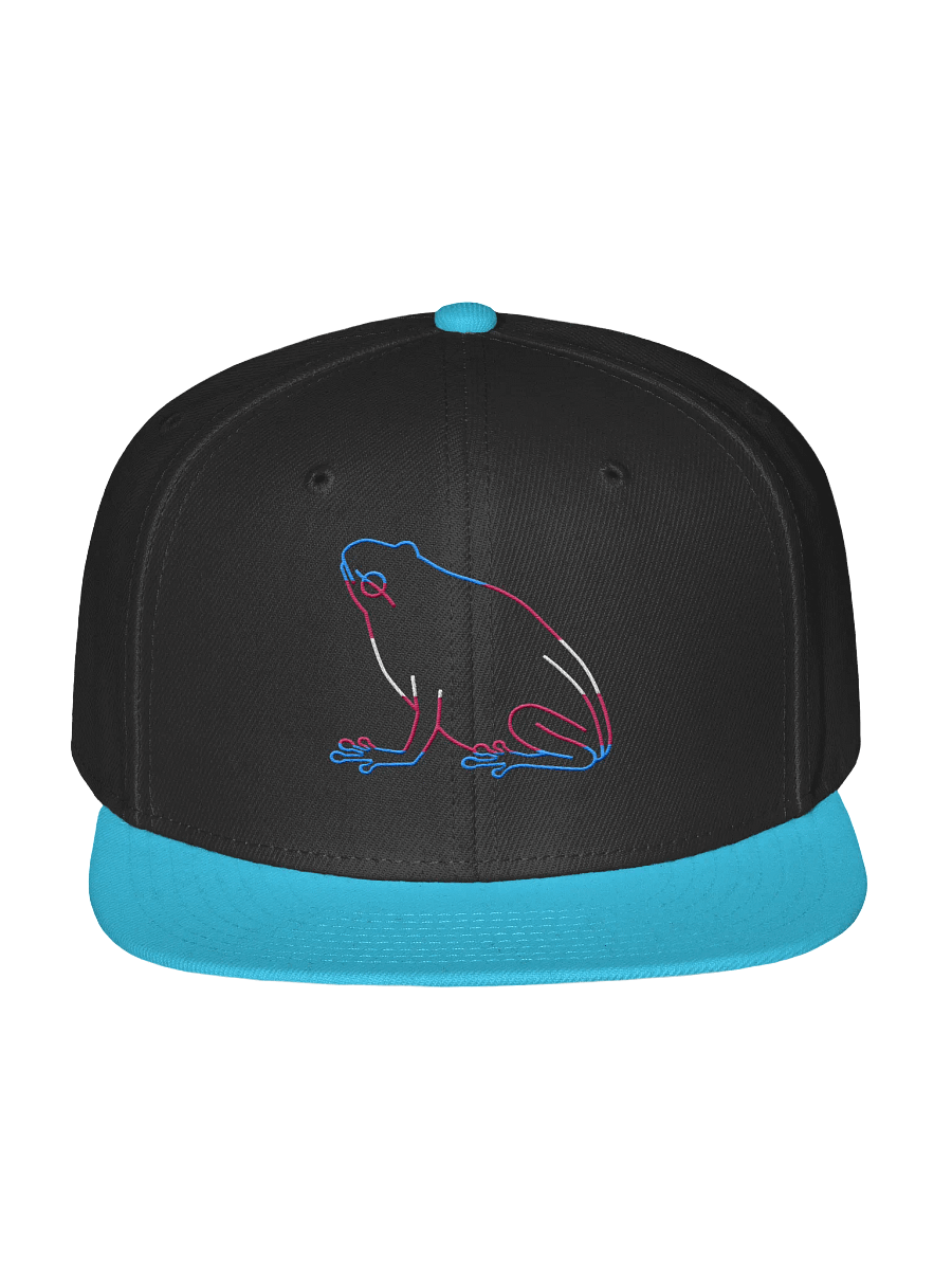 Trans Frog Wool Snapback product image (10)