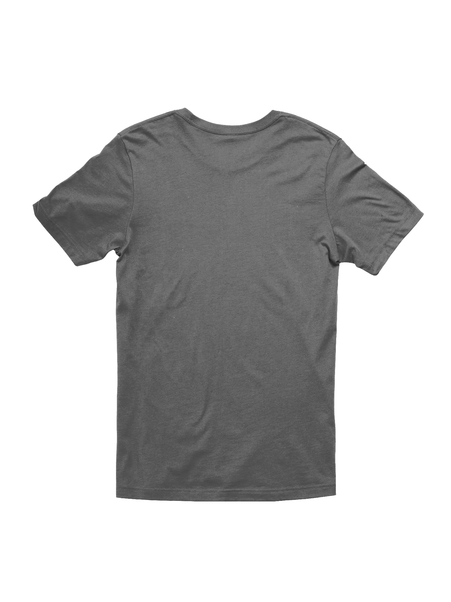 Tis the Holigay Season T-Shirt product image (18)