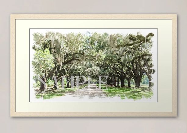Avenue of the Oaks, Boone Hall Plantation Digital Watercolor Image Download product image (5)