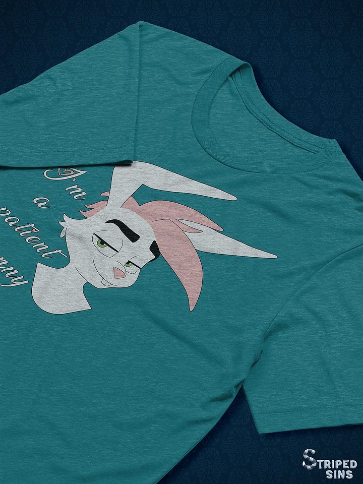 Oliver | Triblend T-shirt | Quote #1 product image (1)