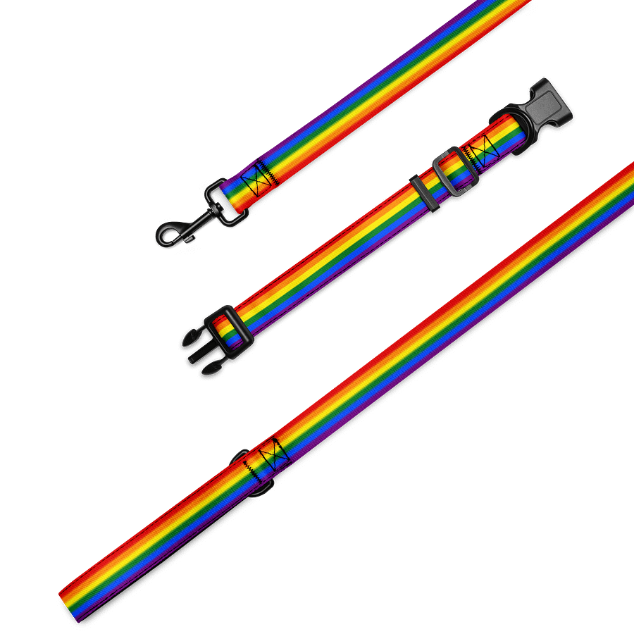 Rainbow Pride Flag Pet Collar & Leash product image (1)