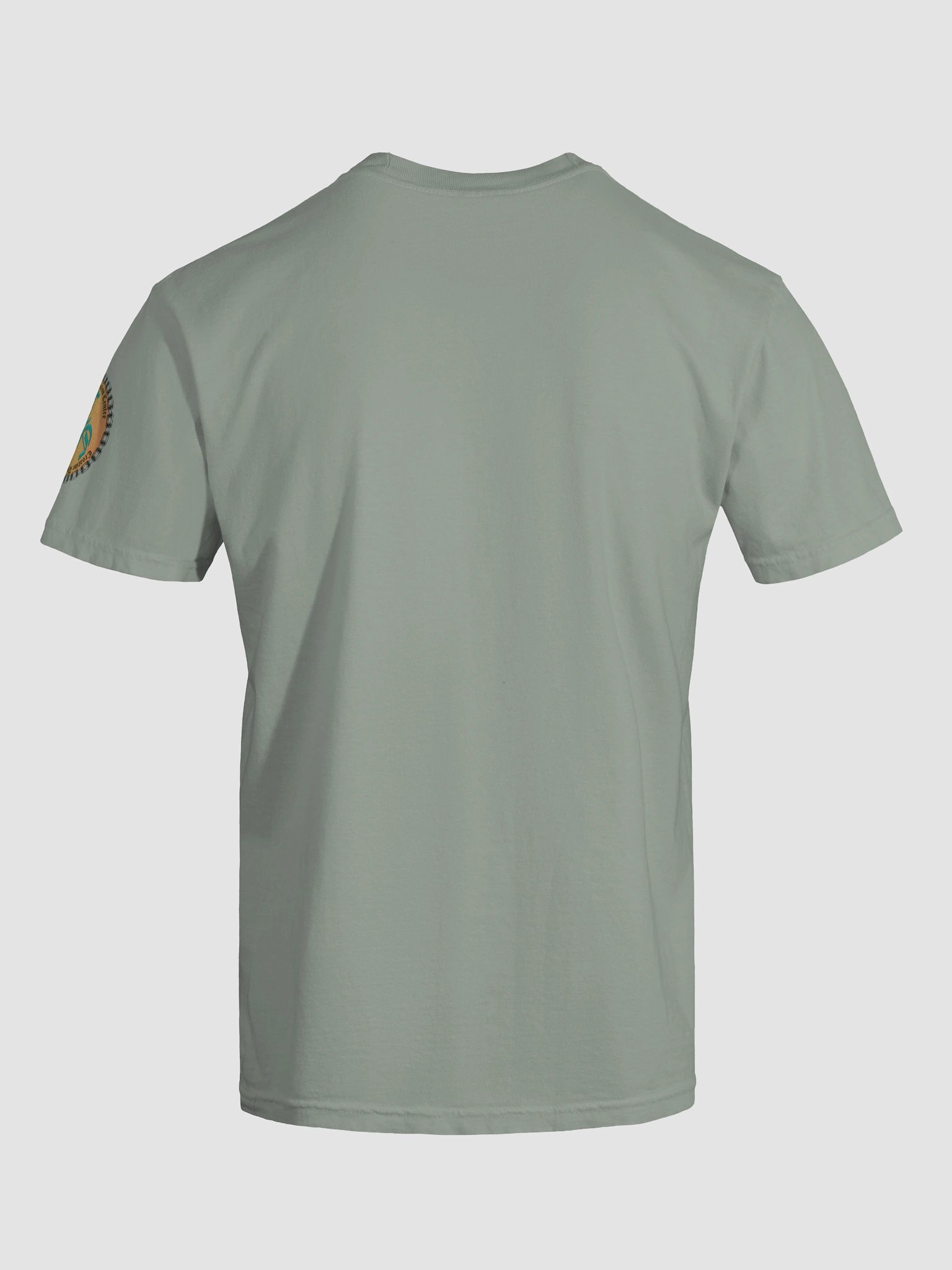 Grandkids + Candy = Sweet Revenge (Both) Comfort Colors Garment-Dyed Heavyweight T-Shirt Colors (4) product image (19)
