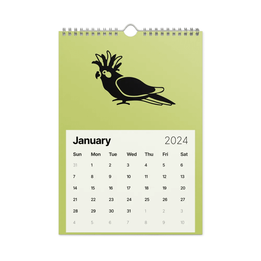 Flying in 2024 product image (15)