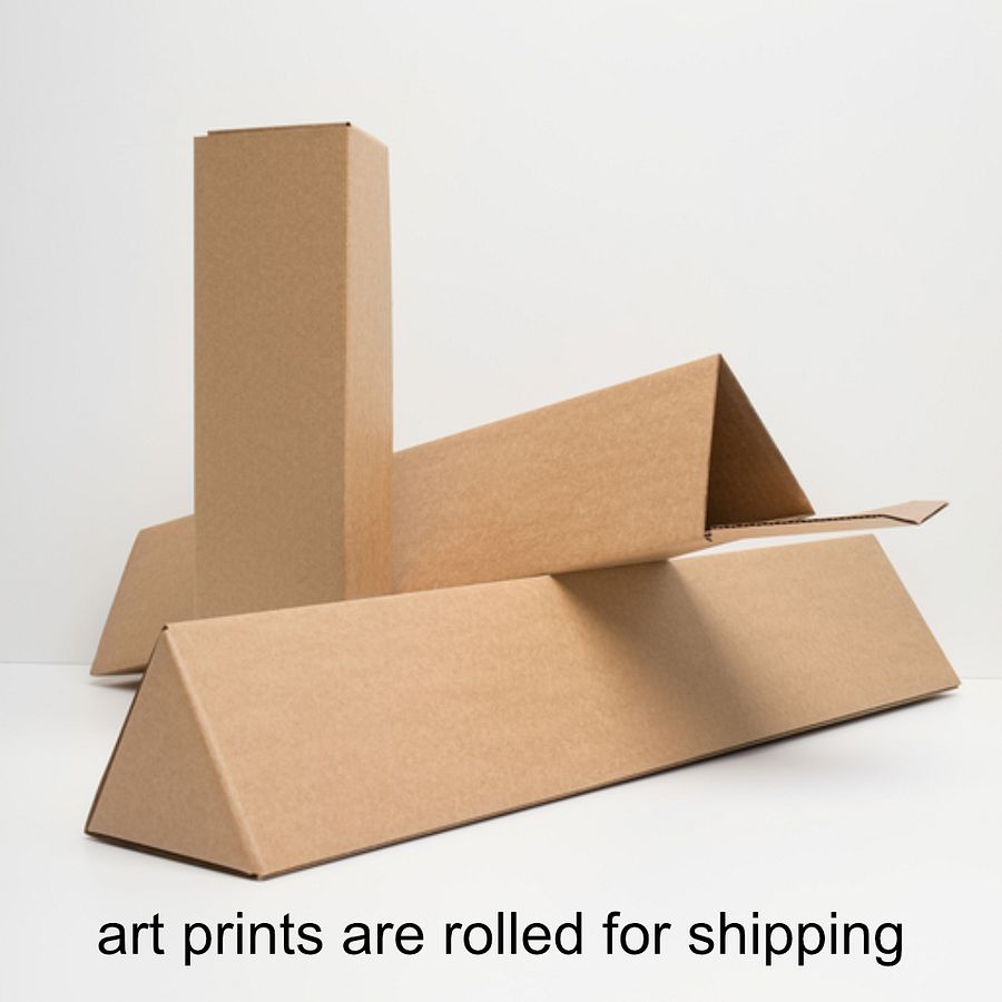 Art2401-18 Eclectic Cat Still Life - Art Print product image (22)