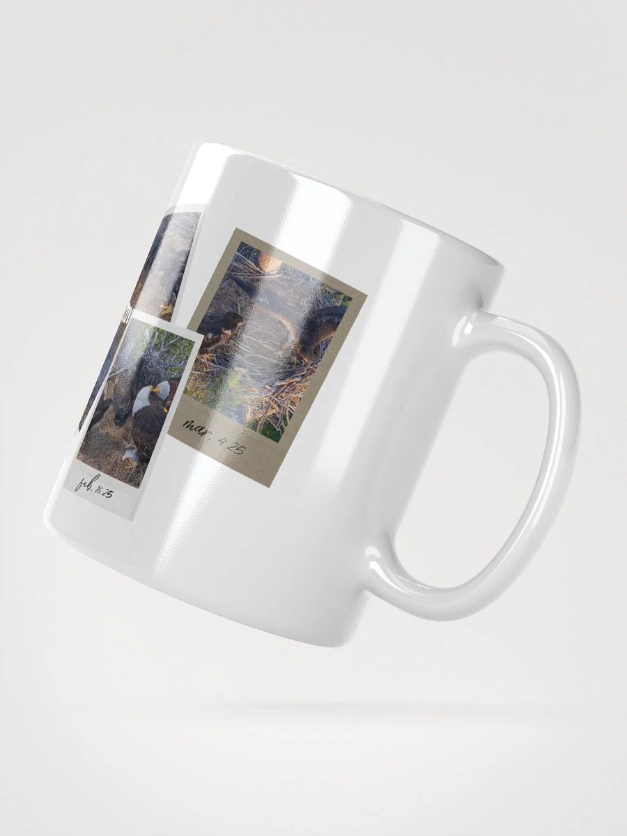 Journey | White Mug | Captiva Eagle Cam 2024-2025 product image (3)