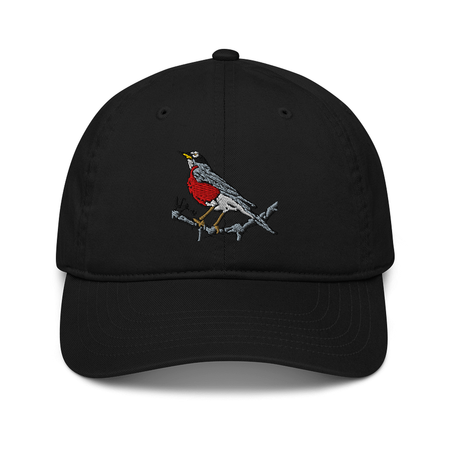 Colorful American Red Robin Embroidered Dad Hat product image (1)