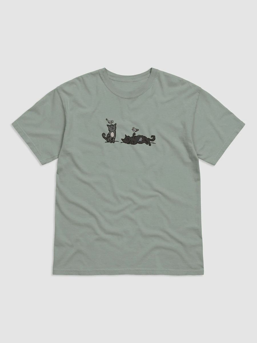 Birb Friends // Comfort Colors Garment-Dyed Heavyweight T-Shirt product image (5)