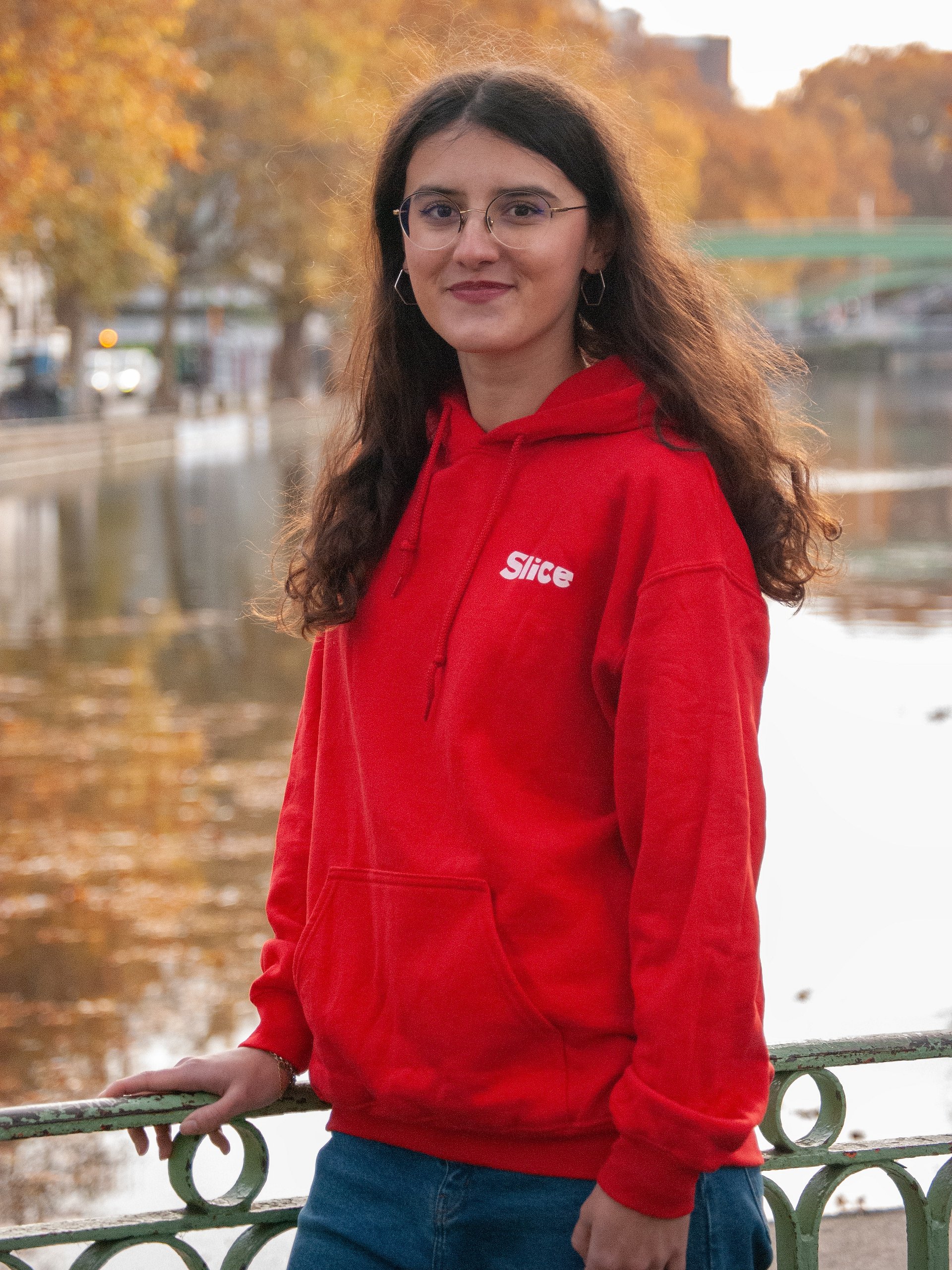 HOODIE SLICE - REAL LIFE IS THE PLOT. product image (2)