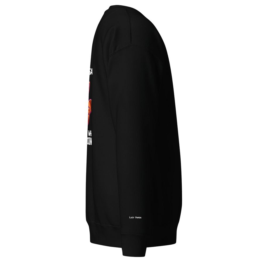 FORGOTTEN Panda Long Sleeve product image (4)