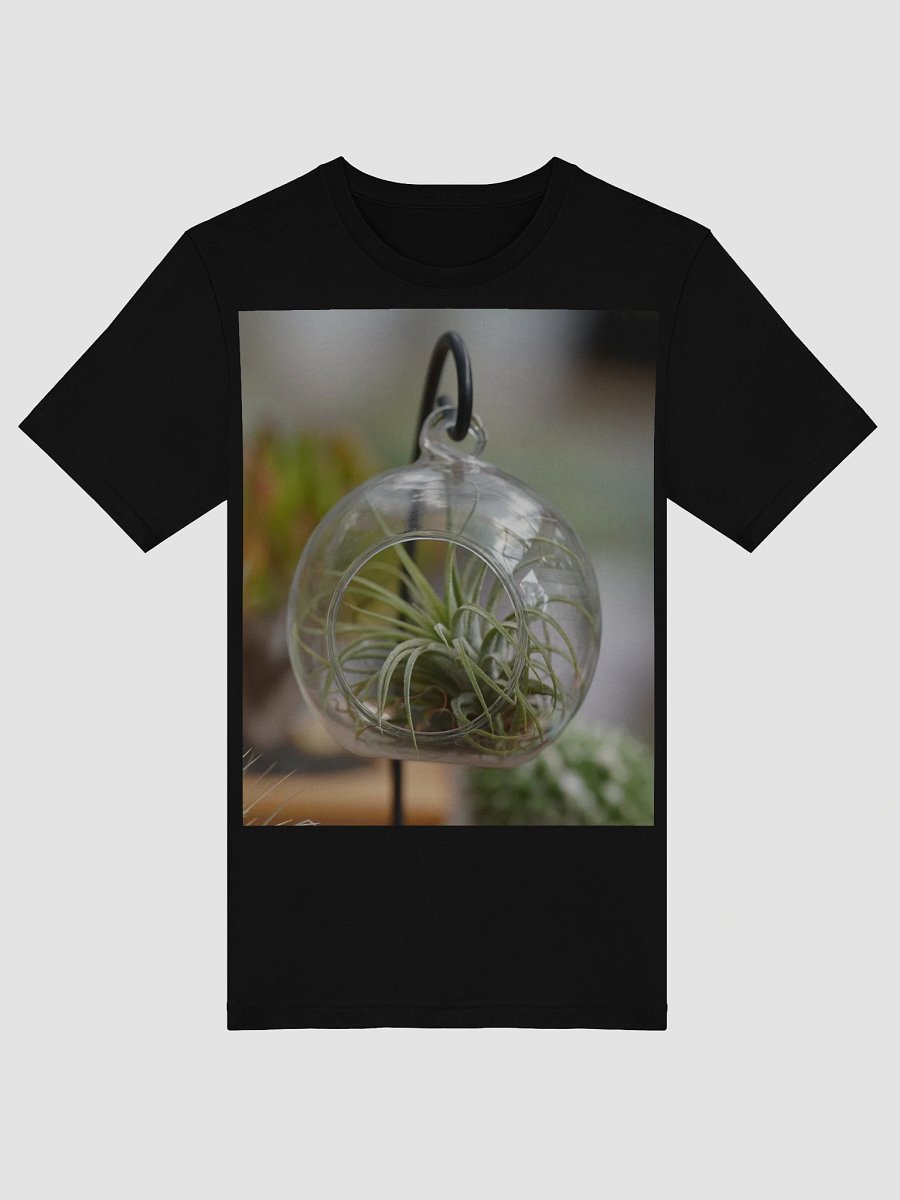 Suspended Air Plant Terrarium product image (5)