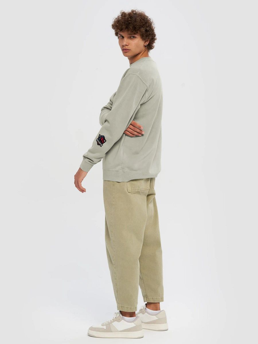 RedRaider Premium Unisex Sweater product image (22)